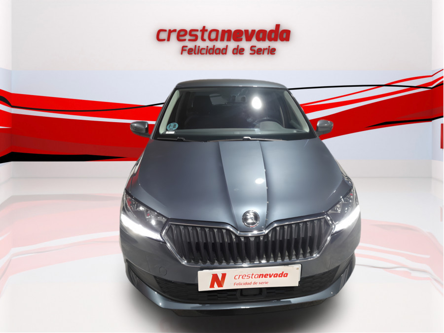 Imagen de Skoda Fabia