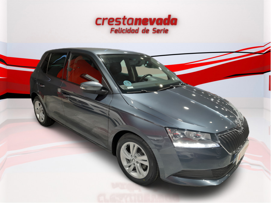 Imagen de Skoda Fabia