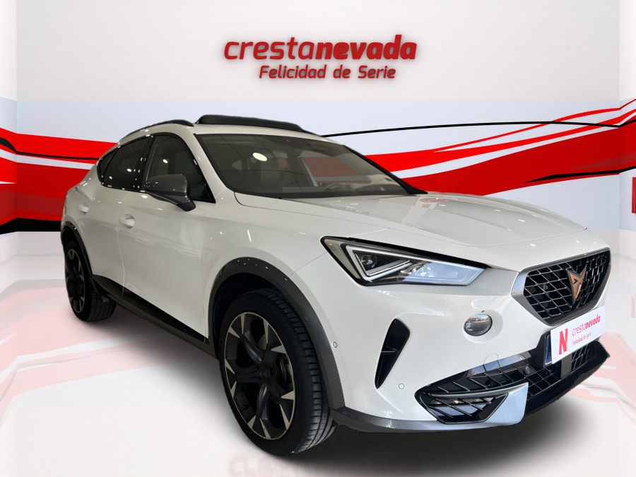 Imagen de cupra Formentor