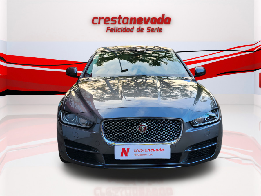 Imagen de Jaguar XE