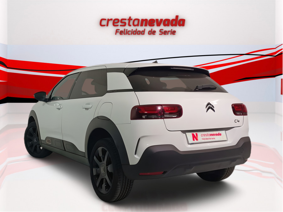 Imagen de CITROEN C4 Cactus