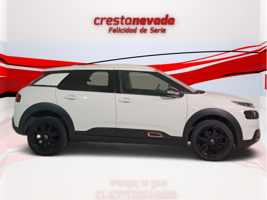 Imagen de CITROEN C4 Cactus