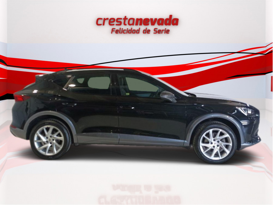 Imagen de cupra Formentor