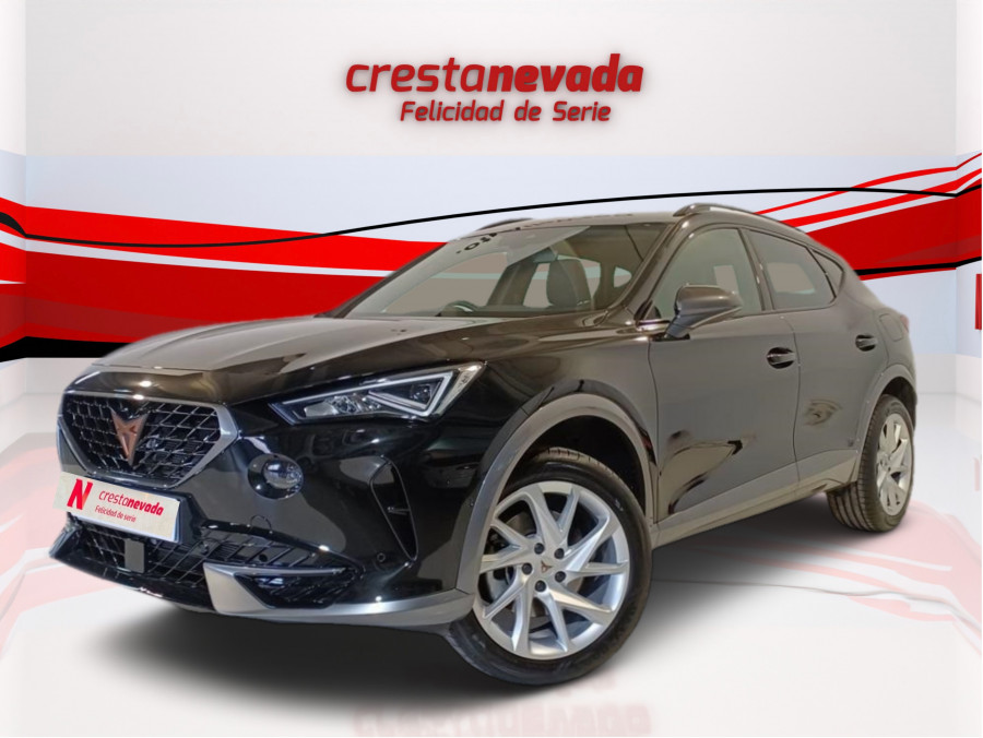 Imagen de cupra Formentor