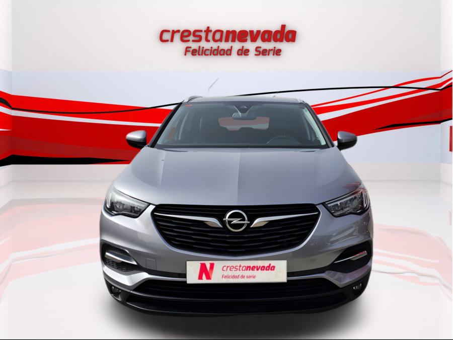 Imagen de Opel Grandland X