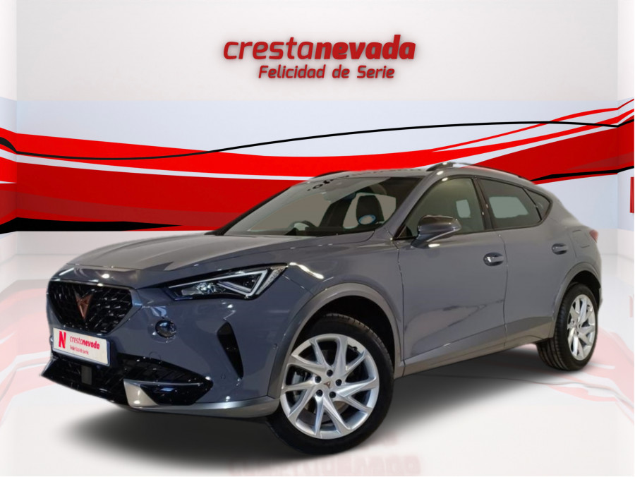 Imagen de cupra Formentor