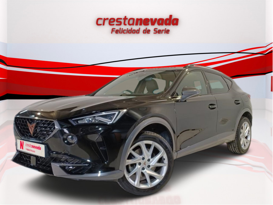 Imagen de cupra Formentor