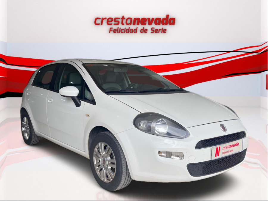 Imagen de Fiat Punto