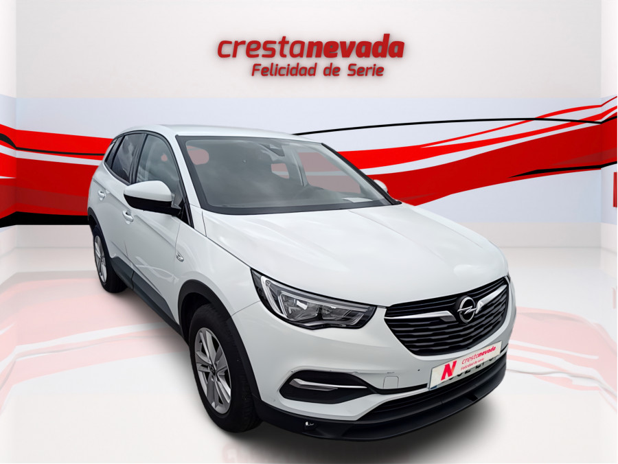 Imagen de Opel Grandland X