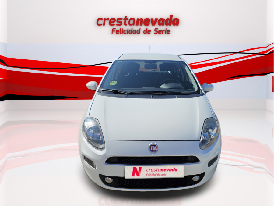 Imagen de Fiat Punto
