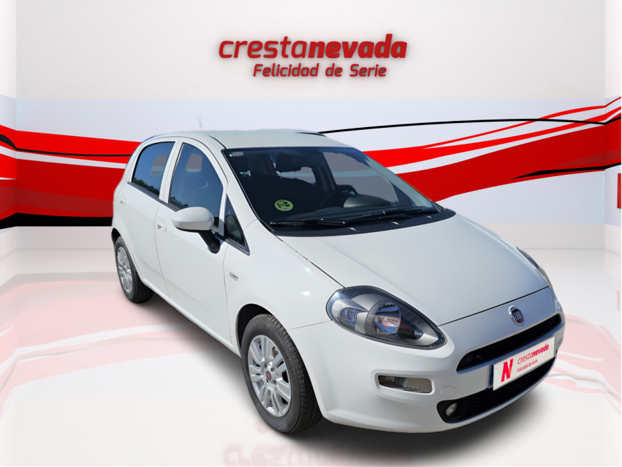Imagen de Fiat Punto