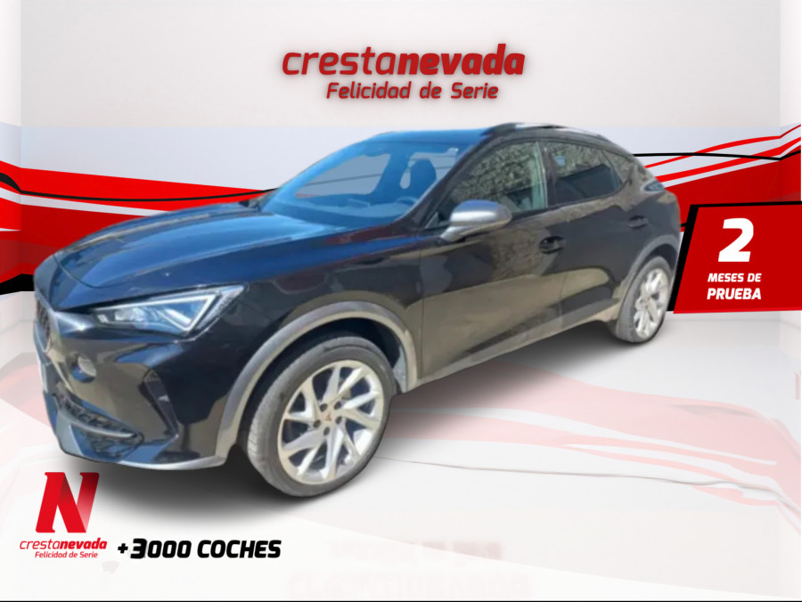 Imagen de cupra Formentor