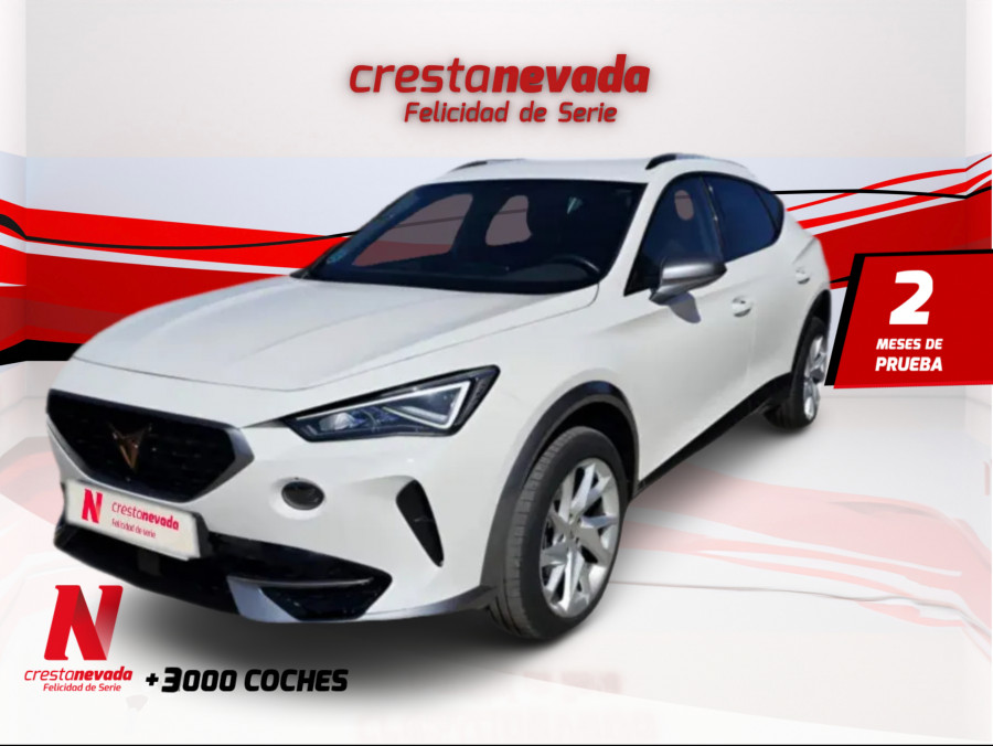 Imagen de cupra Formentor