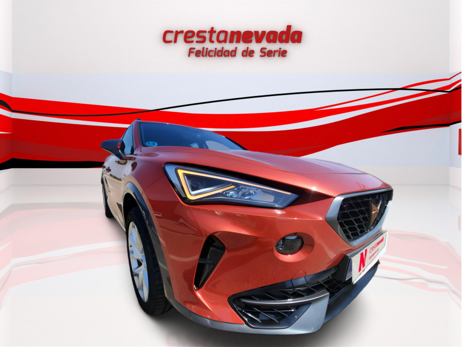 Imagen de cupra Formentor