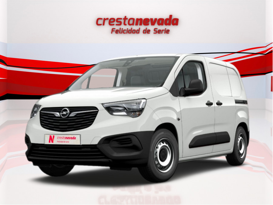 Imagen de Opel Combo Life