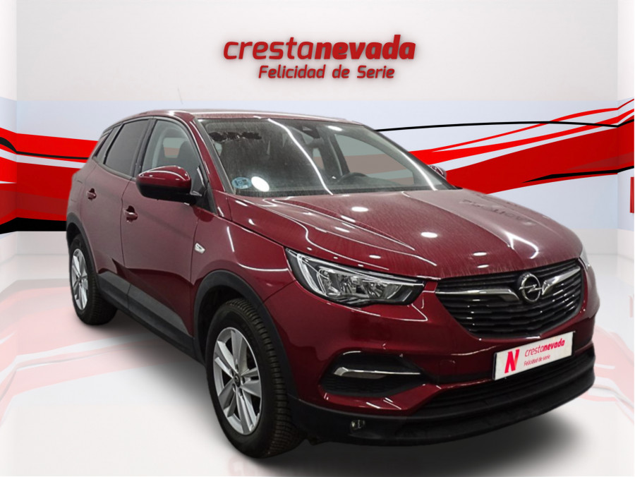 Imagen de Opel Grandland X