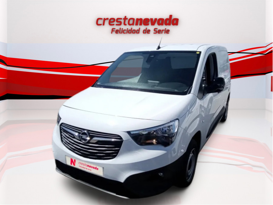 Imagen de Opel Combo