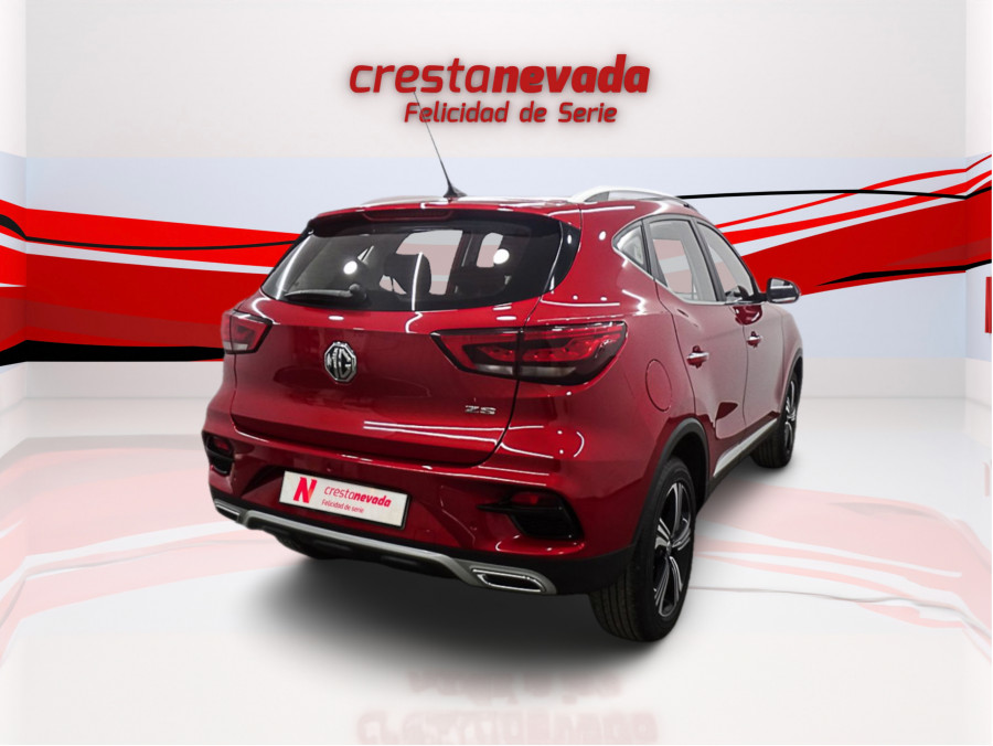 Imagen de Mg ZS