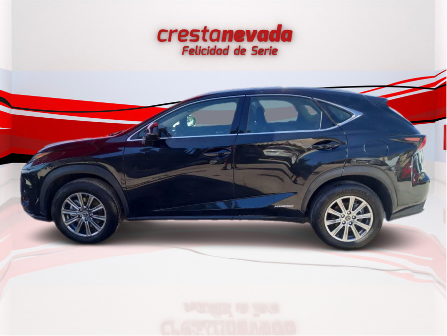 Imagen de Lexus NX