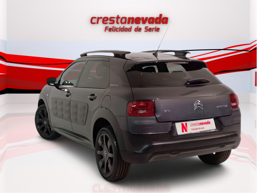Imagen de CITROEN C4 Cactus