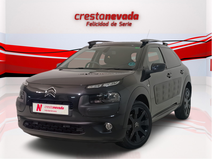 Imagen de CITROEN C4 Cactus