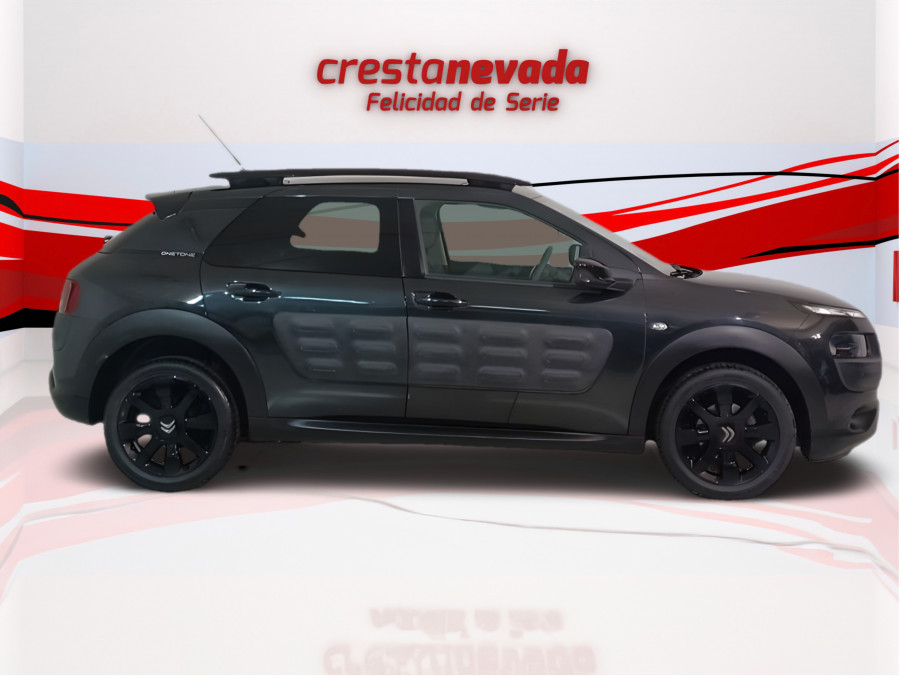 Imagen de CITROEN C4 Cactus
