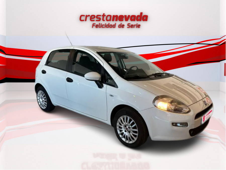 Imagen de Fiat Punto