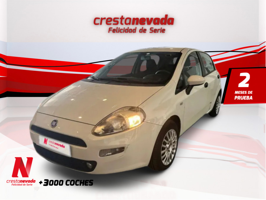 Imagen de Fiat Punto