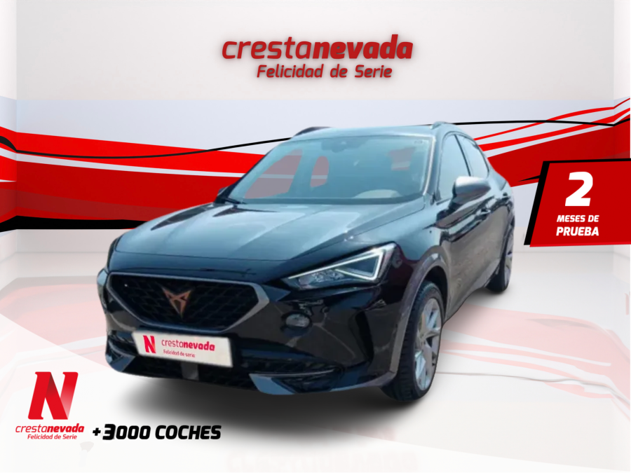 Imagen de cupra Formentor