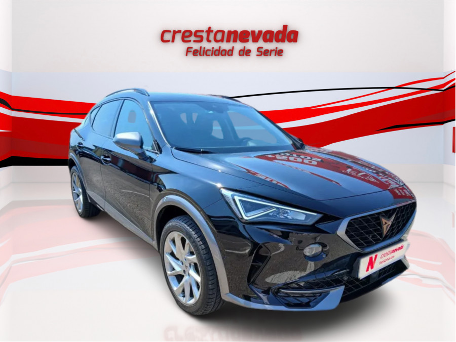 Imagen de cupra Formentor