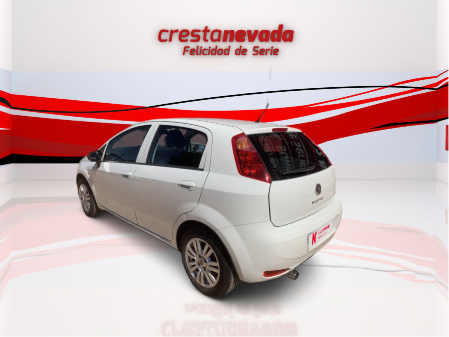 Imagen de Fiat Punto