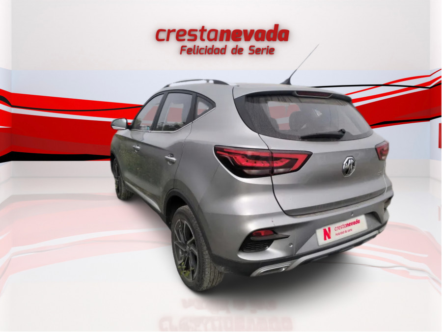 Imagen de Mg ZS