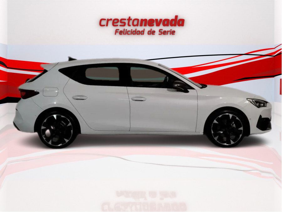 Imagen de cupra Leon