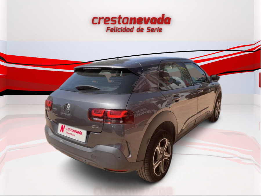 Imagen de CITROEN C4 Cactus