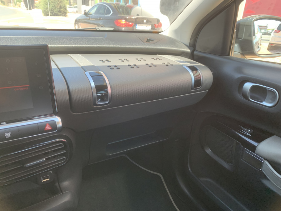 Imagen de CITROEN C4 Cactus