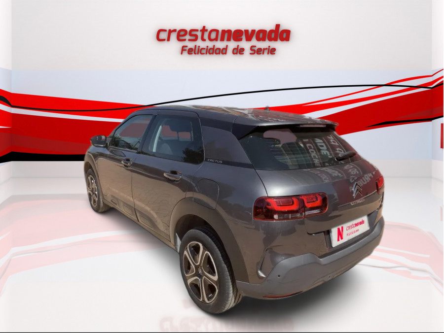 Imagen de CITROEN C4 Cactus