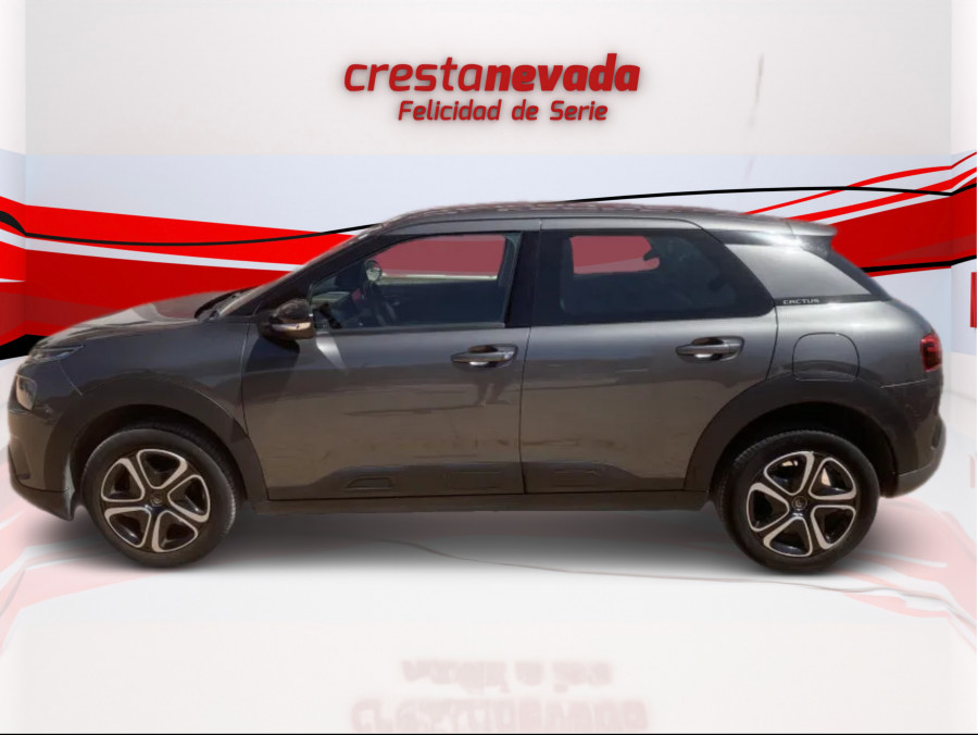 Imagen de CITROEN C4 Cactus