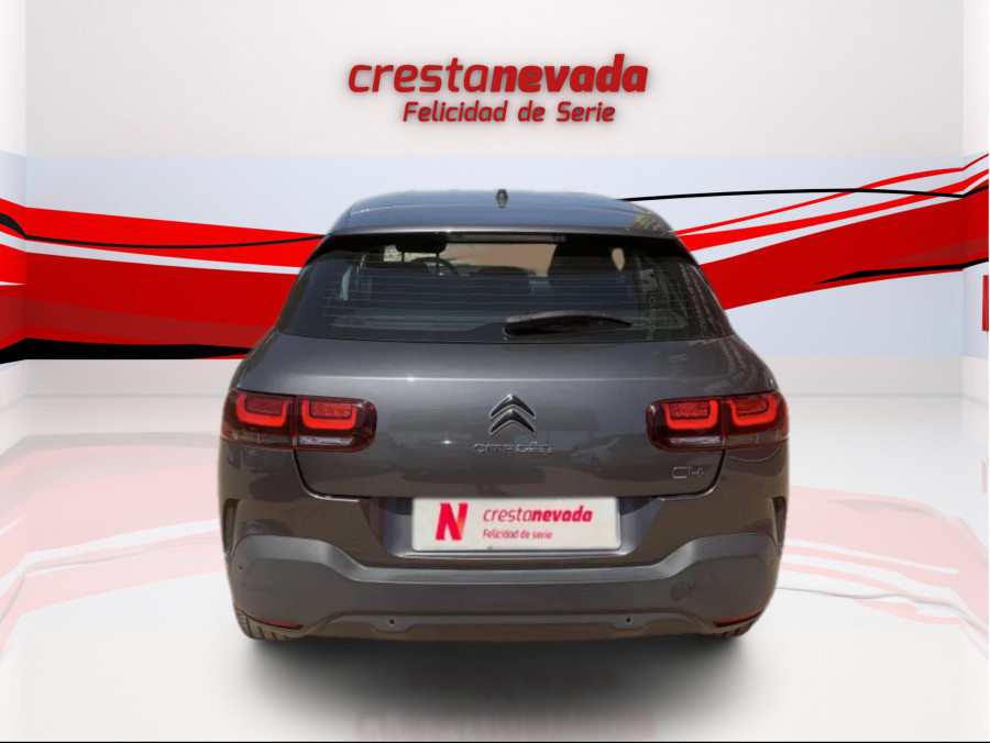 Imagen de CITROEN C4 Cactus