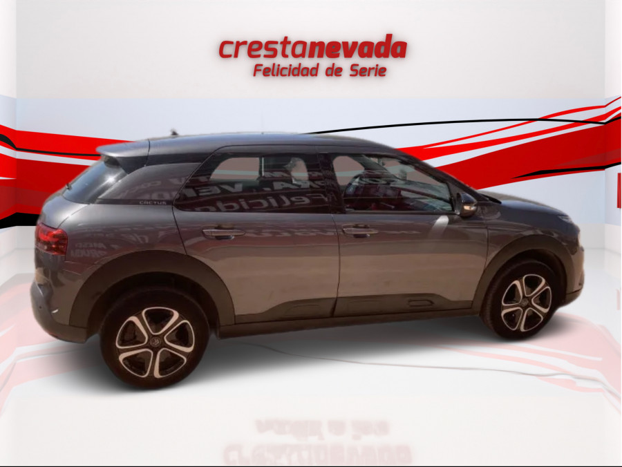 Imagen de CITROEN C4 Cactus