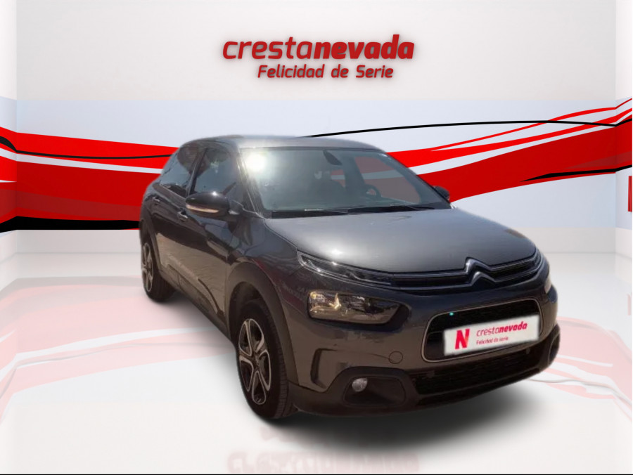 Imagen de CITROEN C4 Cactus