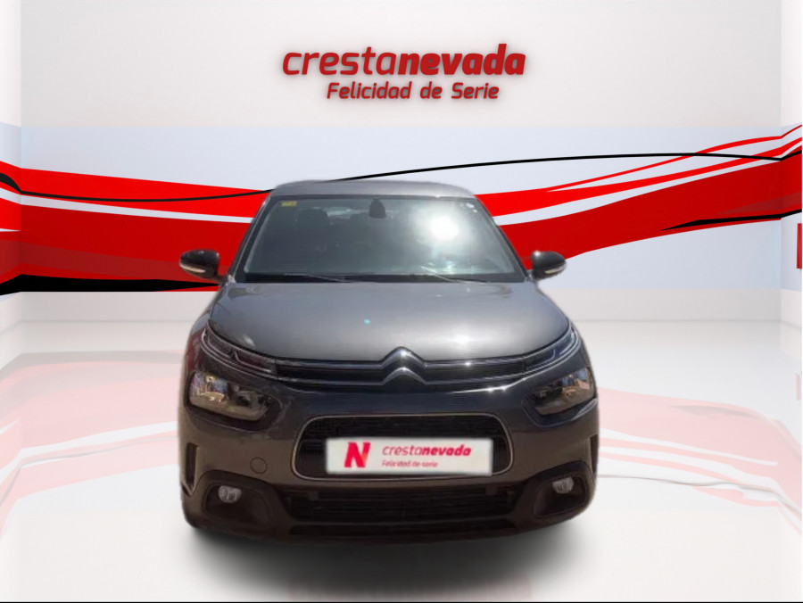 Imagen de CITROEN C4 Cactus
