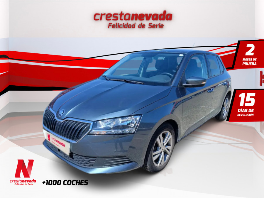 Imagen de Skoda Fabia