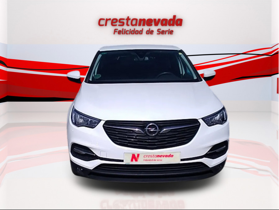 Imagen de Opel Grandland X