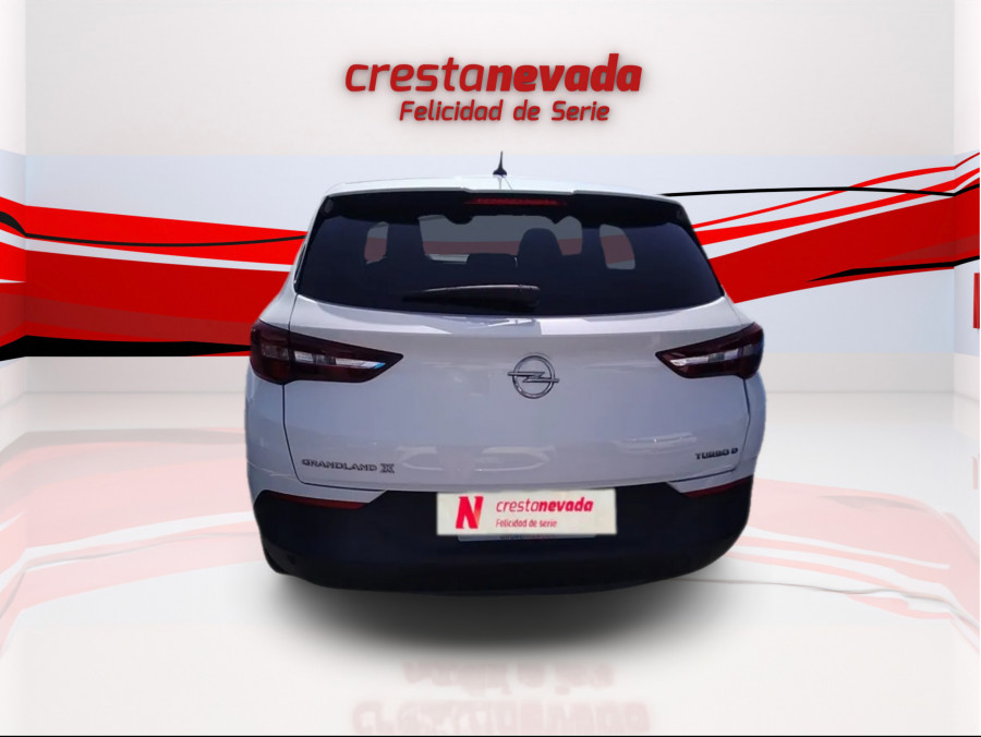 Imagen de Opel Grandland X