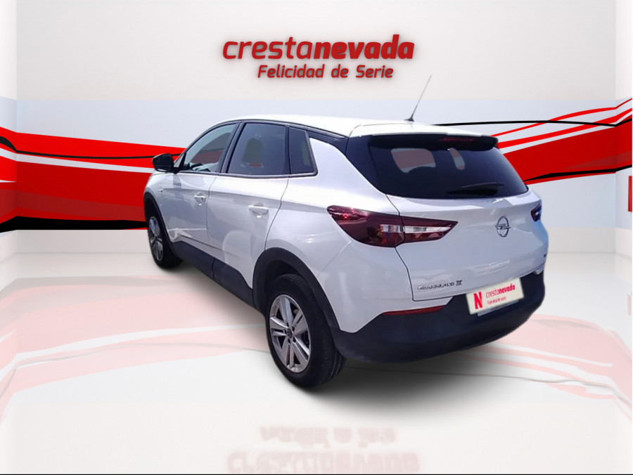Imagen de Opel Grandland X