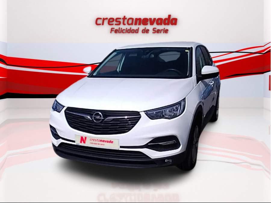 Imagen de Opel Grandland X