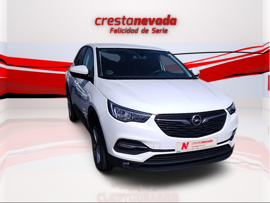 Imagen de Opel Grandland X
