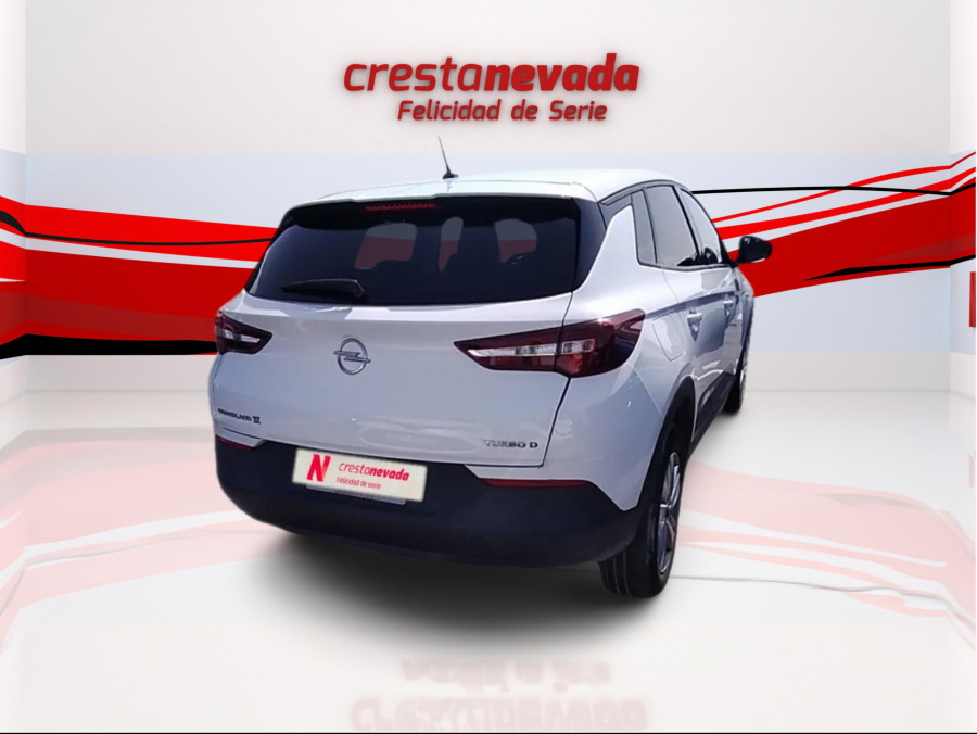 Imagen de Opel Grandland X