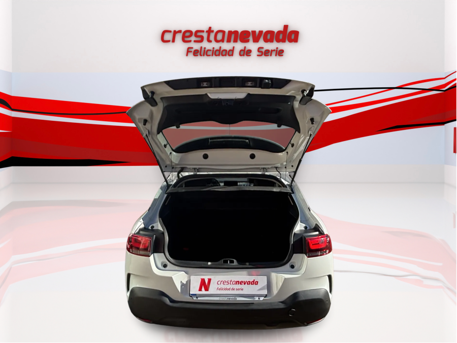 Imagen de CITROEN C4 Cactus