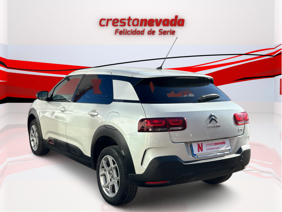Imagen de CITROEN C4 Cactus